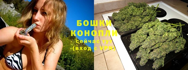 PSILOCYBIN Аркадак