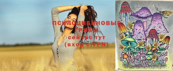 прущая мука Армянск